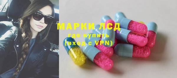 стаф Волоколамск