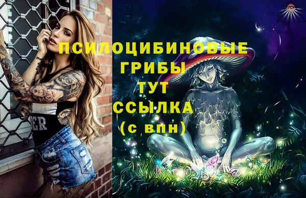 хмурый Верхний Тагил